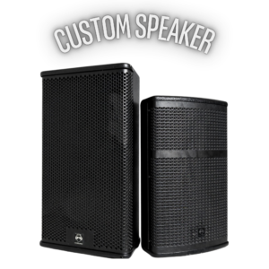 Custom Speaker Audio Professional